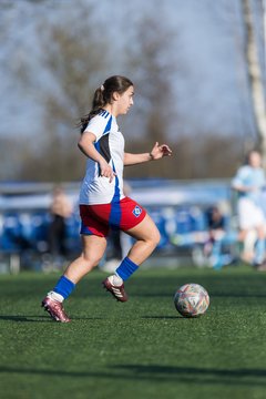 Bild 308 - F Hamburger SV 3 - Blau-Weiss 96 : Ergebnis: 5:1